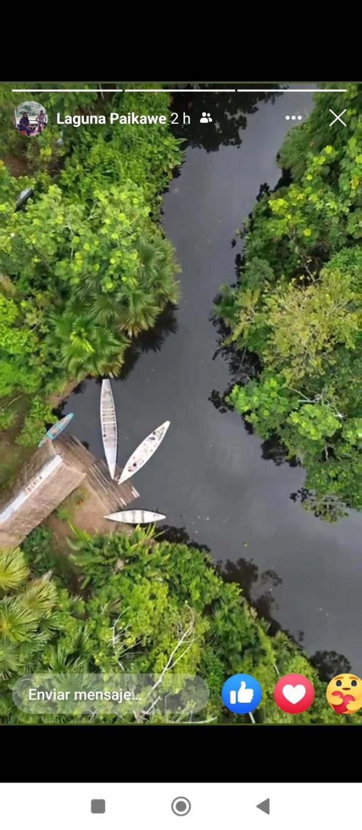 Misahualli Laguna Paikawe B&B 외부 사진
