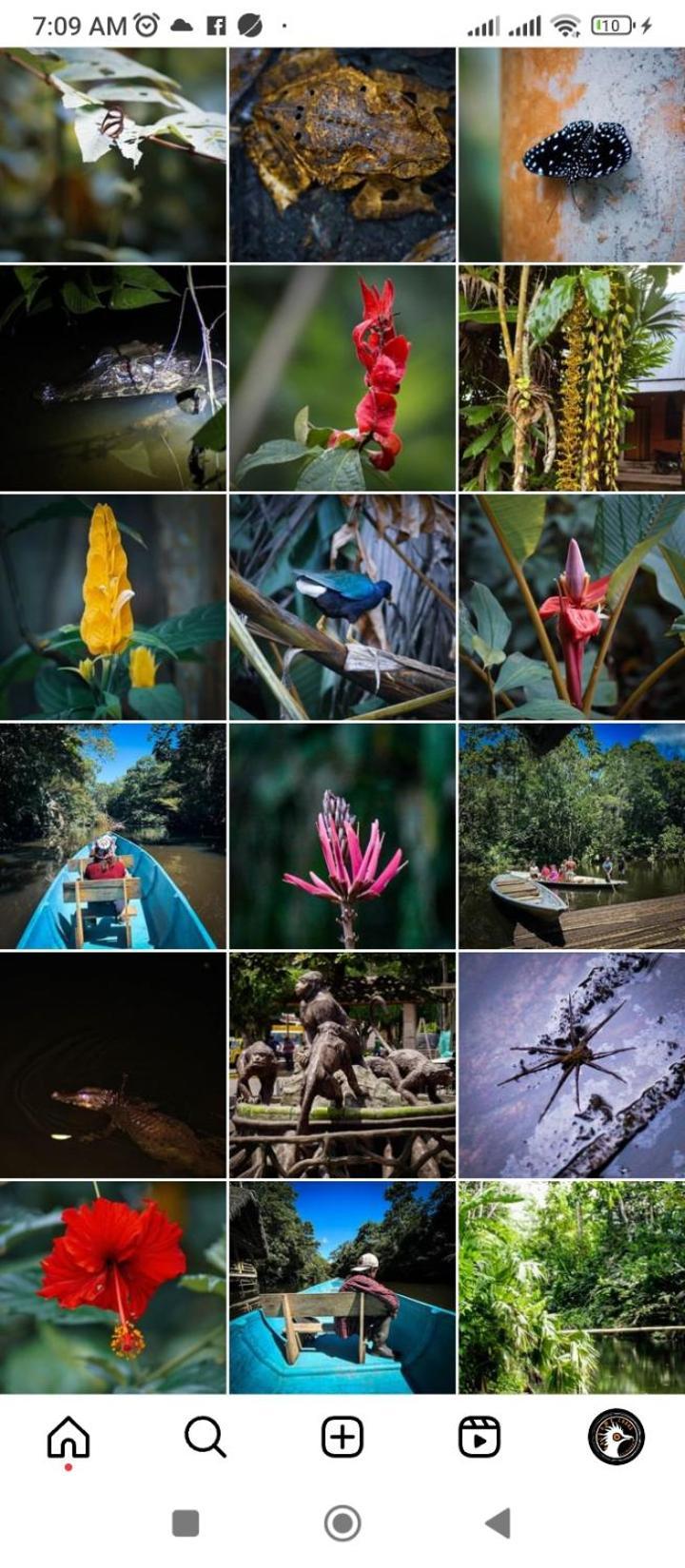 Misahualli Laguna Paikawe B&B 외부 사진