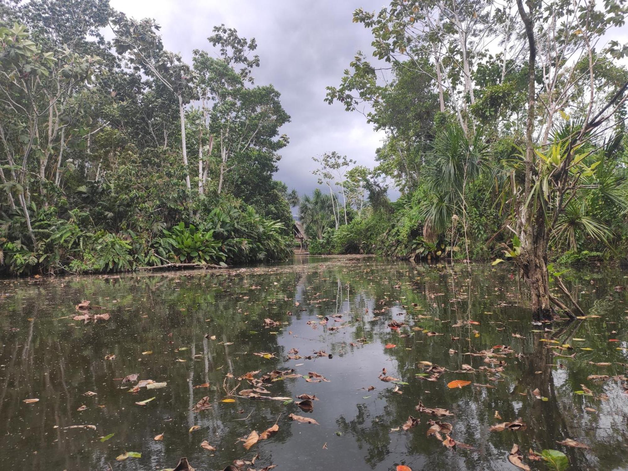 Misahualli Laguna Paikawe B&B 객실 사진