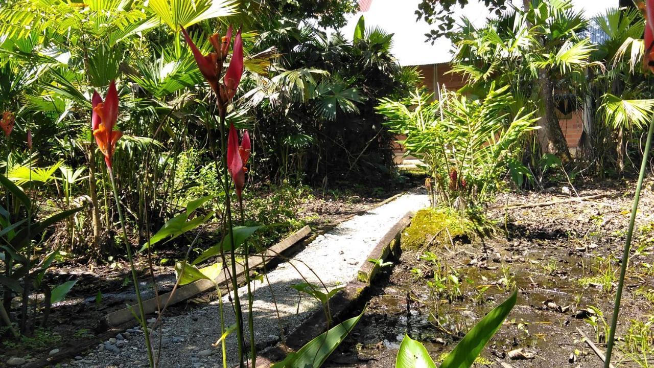 Misahualli Laguna Paikawe B&B 외부 사진