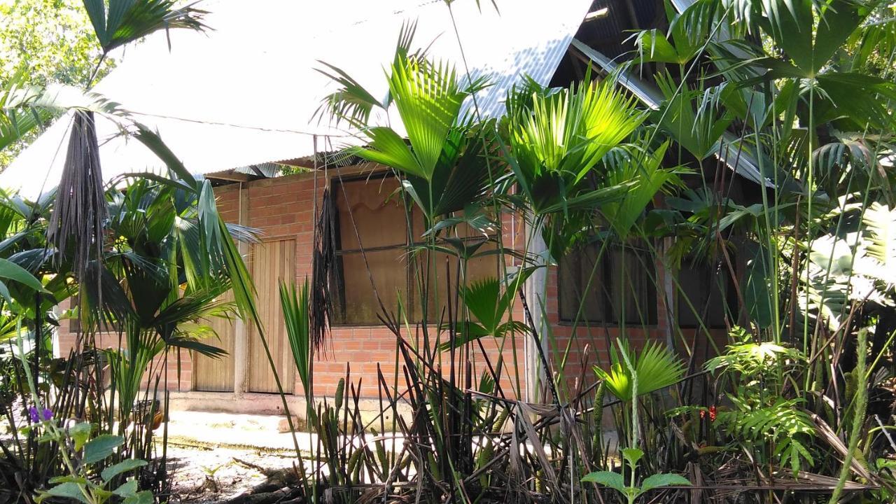 Misahualli Laguna Paikawe B&B 외부 사진