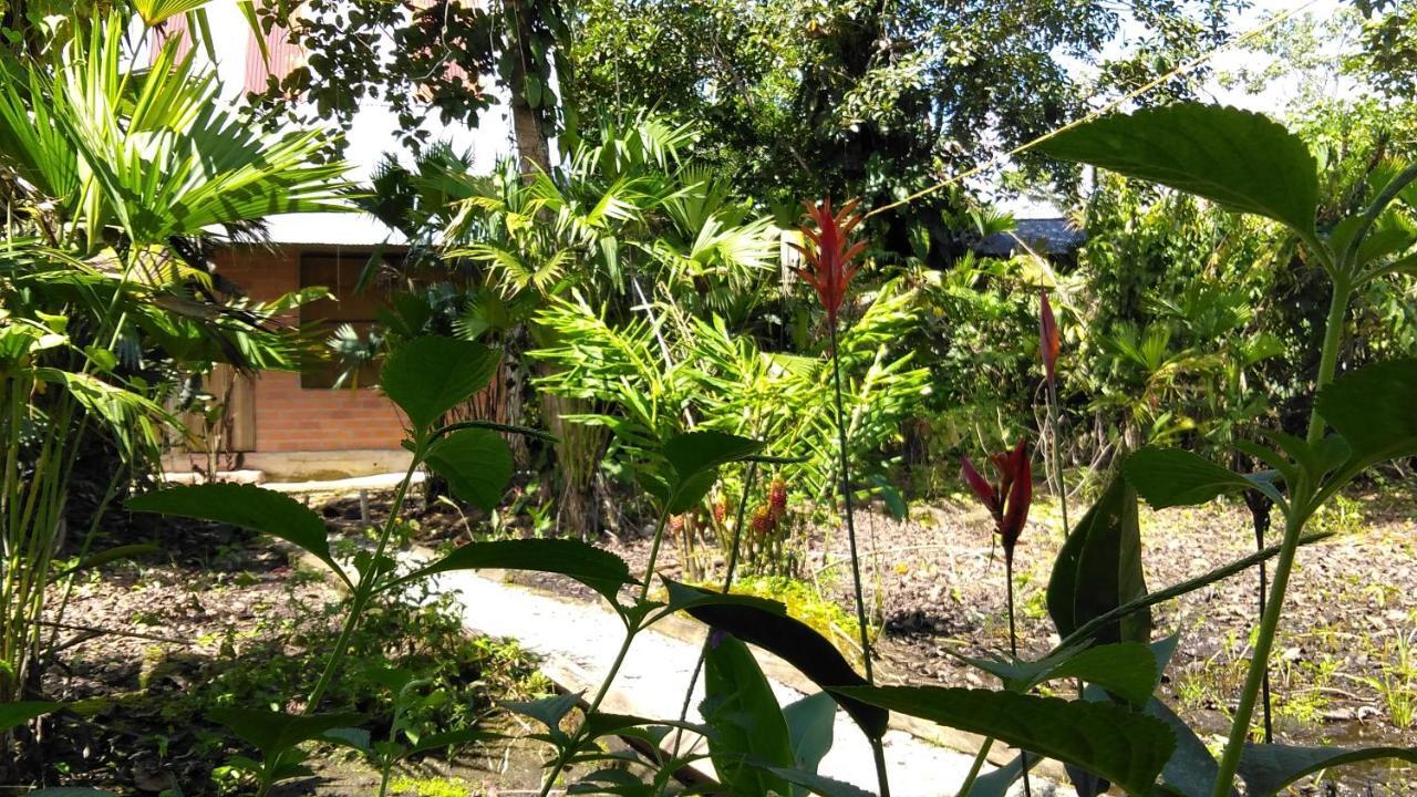Misahualli Laguna Paikawe B&B 외부 사진