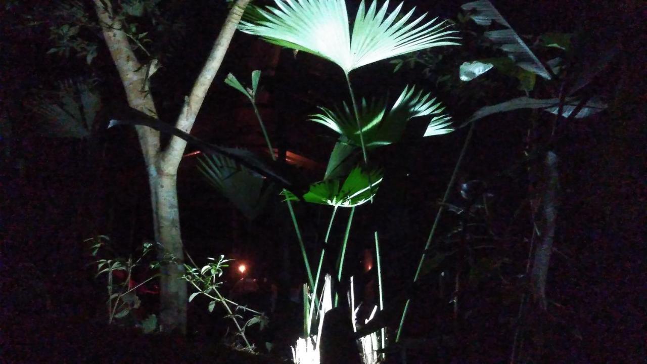 Misahualli Laguna Paikawe B&B 외부 사진